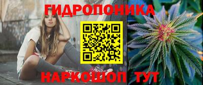 амф Кулебаки